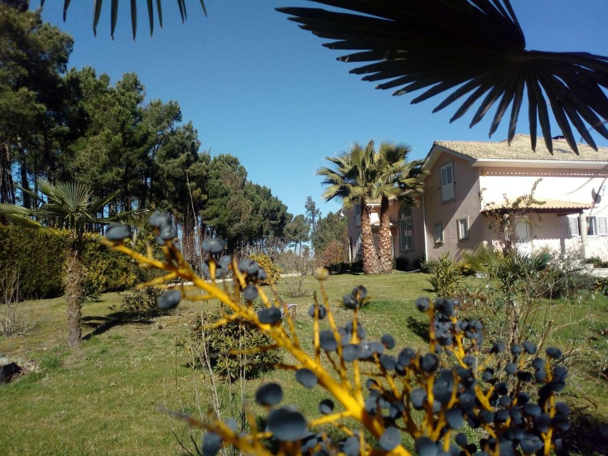 Casa Do Soito Hotel Mangualde Luaran gambar